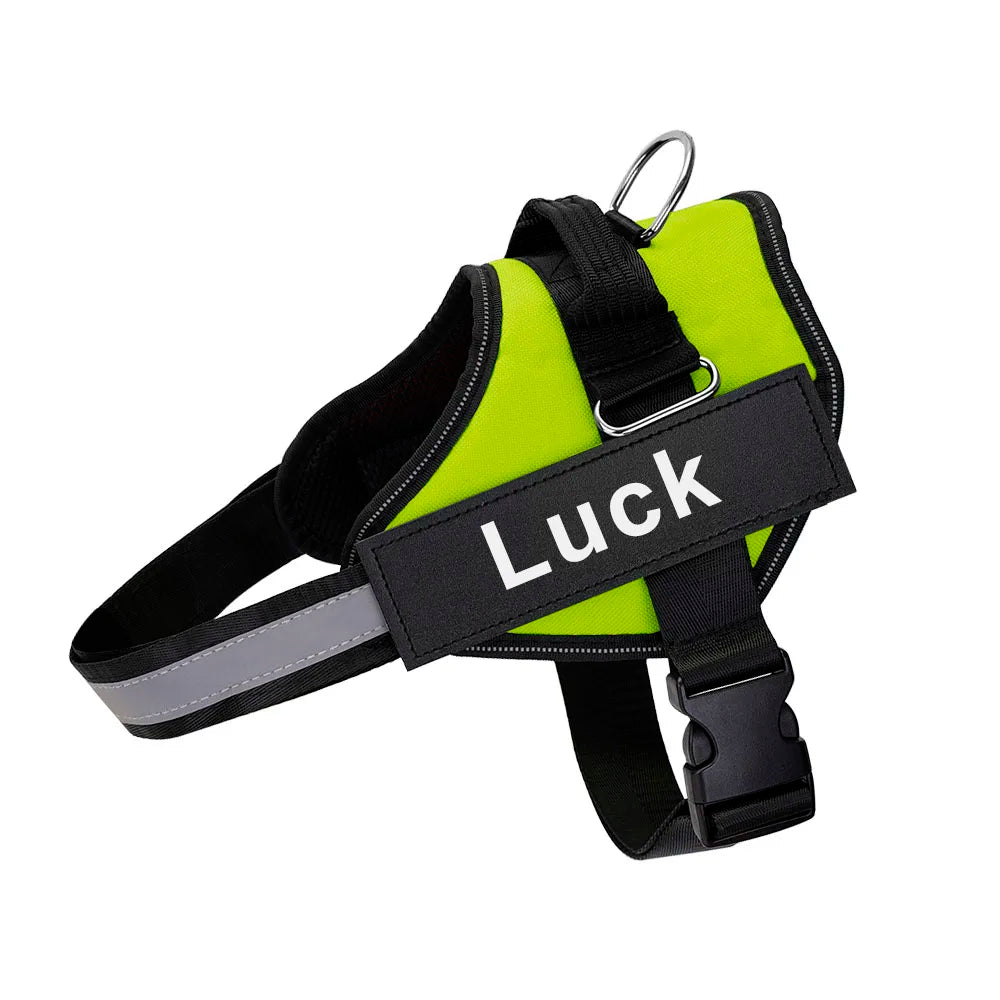 Pettorina Per Cani Personalizzabile