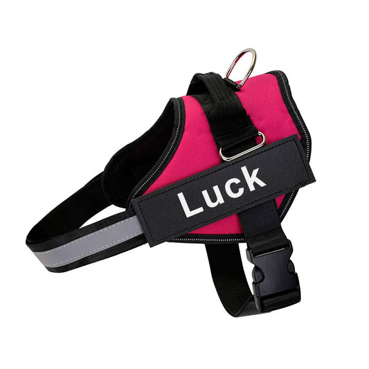 Pettorina Per Cani Personalizzabile