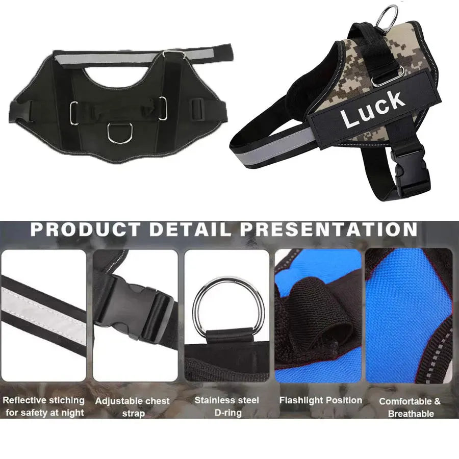 Pettorina Per Cani Personalizzabile