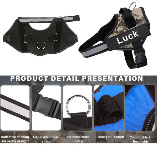 Pettorina Per Cani Personalizzabile