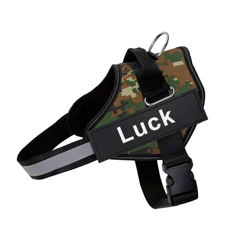 Pettorina Per Cani Personalizzabile