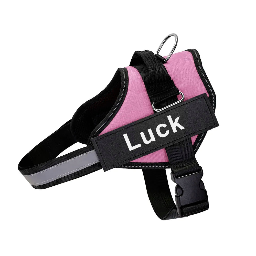 Pettorina Per Cani Personalizzabile
