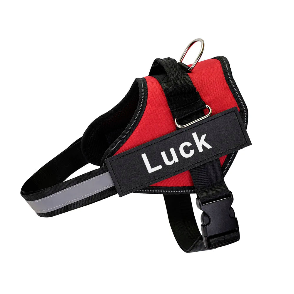 Pettorina Per Cani Personalizzabile