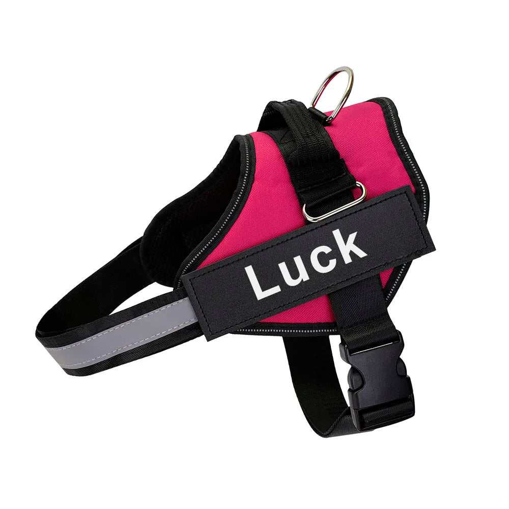 Pettorina Per Cani Personalizzabile