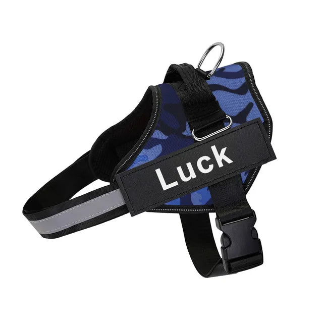 Pettorina Per Cani Personalizzabile