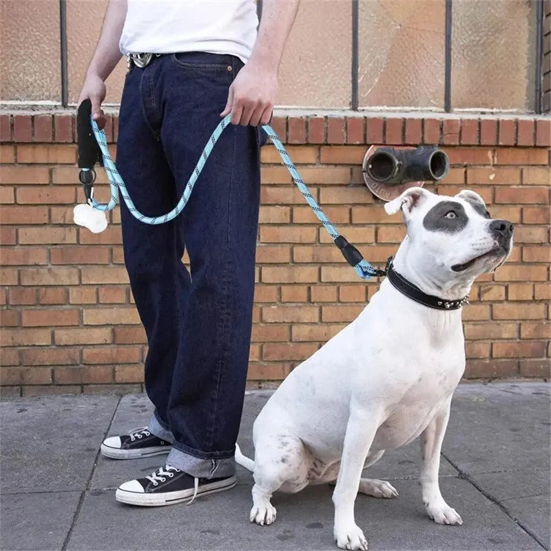 Guinzaglio Per Cani