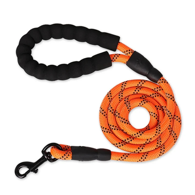 Guinzaglio Per Cani
