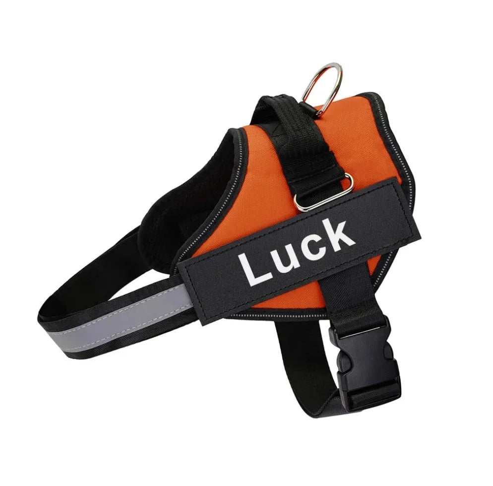 Pettorina Per Cani Personalizzabile