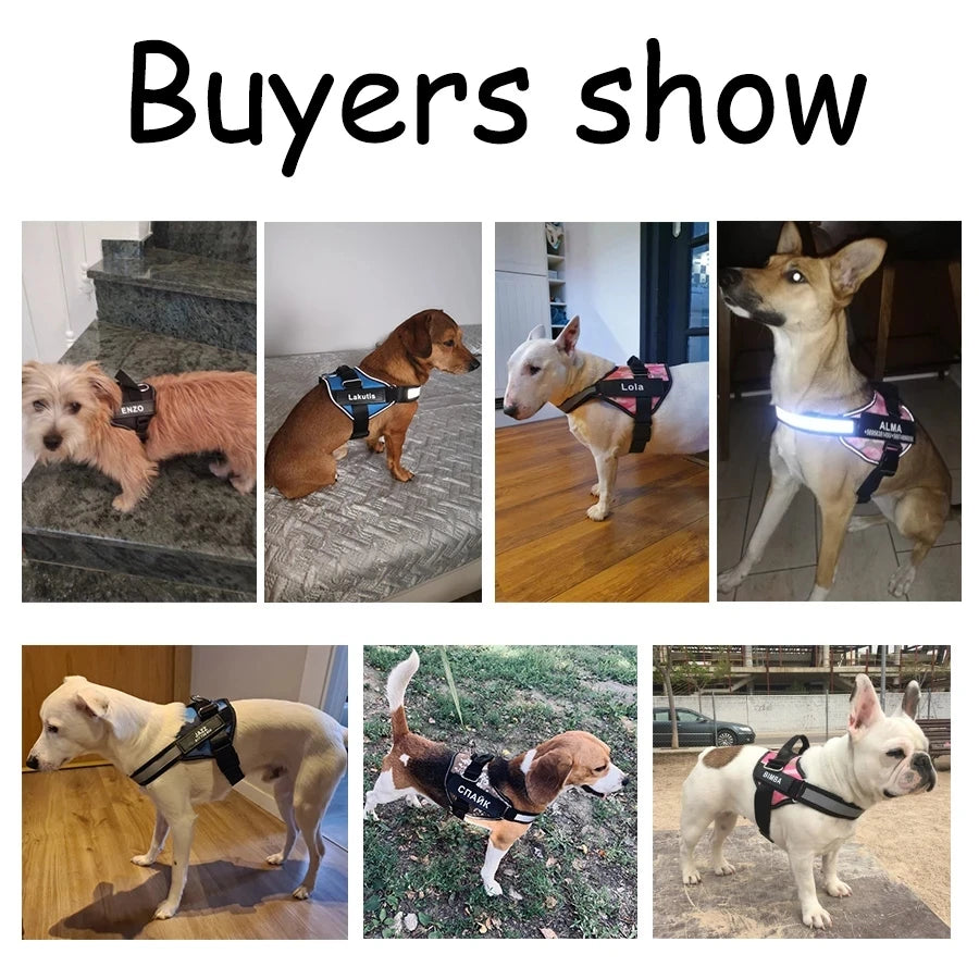 Pettorina Per Cani Personalizzabile