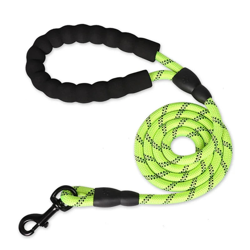 Guinzaglio Per Cani