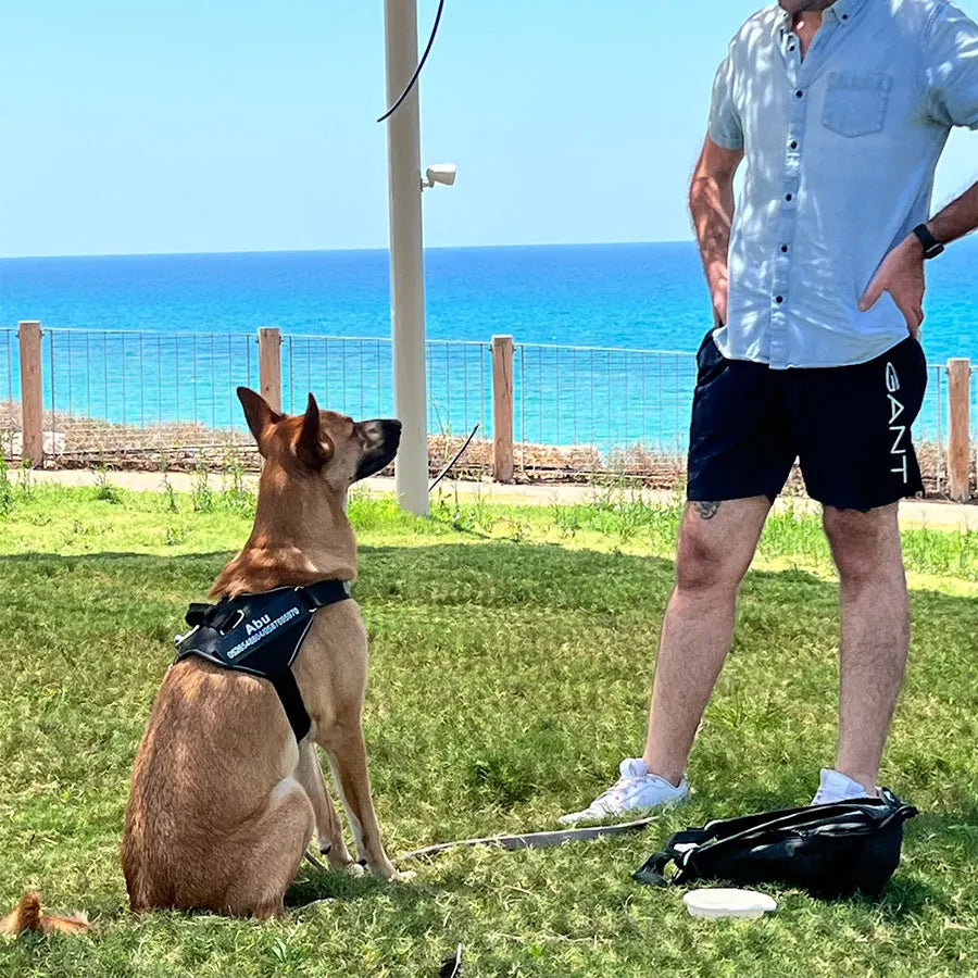 Pettorina Per Cani Personalizzabile