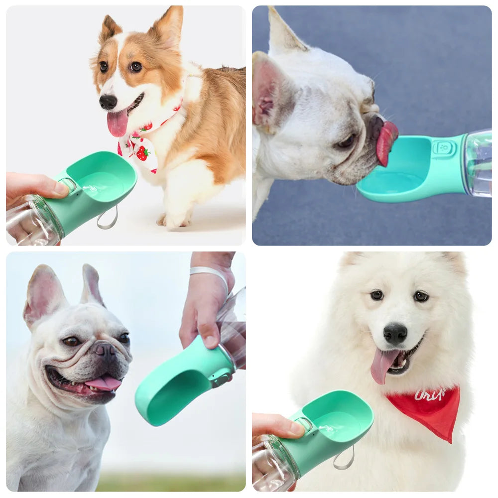 Borraccia Portatile Per Cani